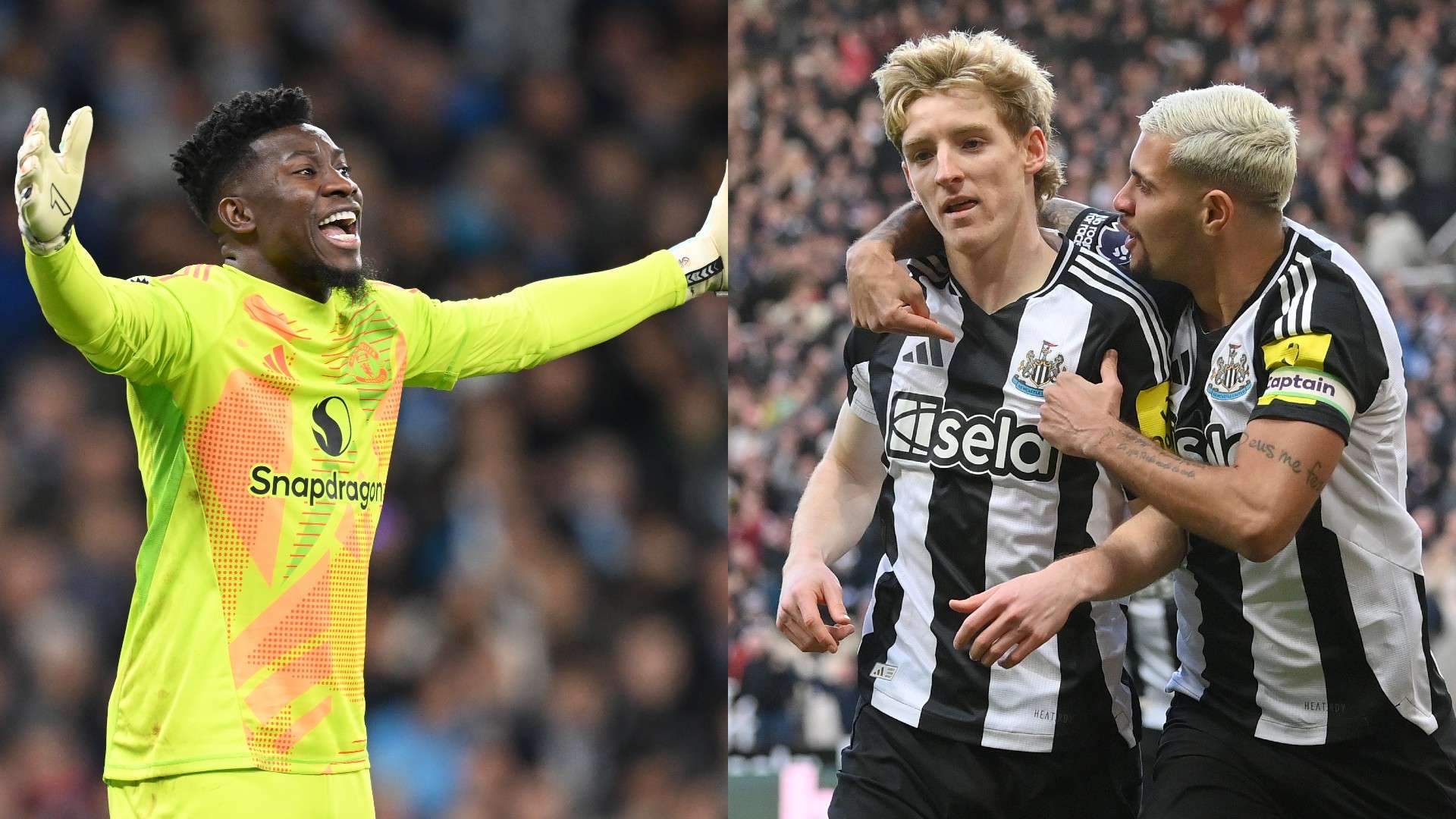 挑战传统的 挑战传统的